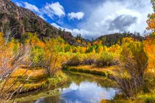 Bishop Creek-5116.jpg